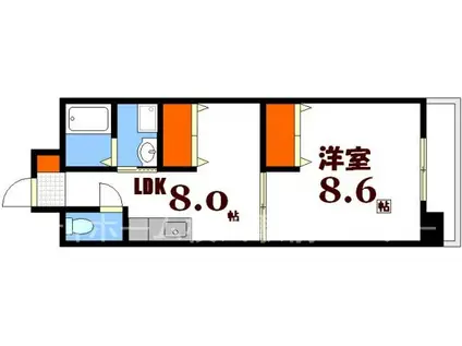 房尾本店横川橋ビル(1LDK/5階)の間取り写真