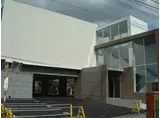 サウザンド・クレイン