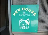 MEW HOUSE