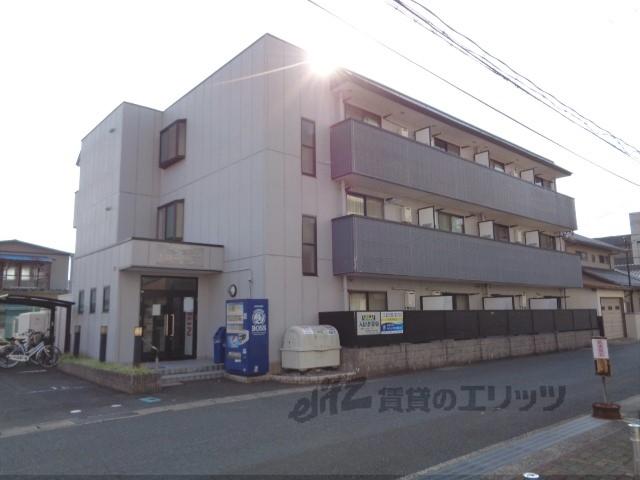 アマデウス