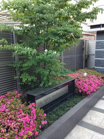アルカディア西荻窪
