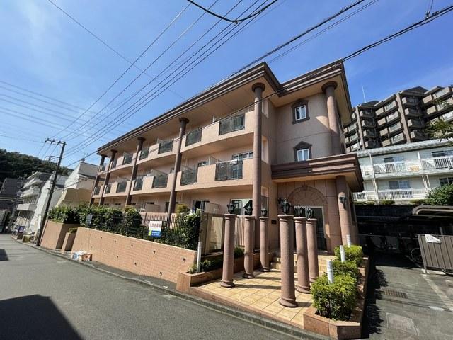 ルピナス7
