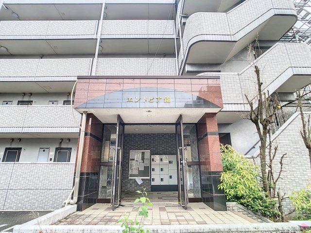 エントピア錦