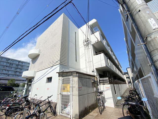 シロハイヌ