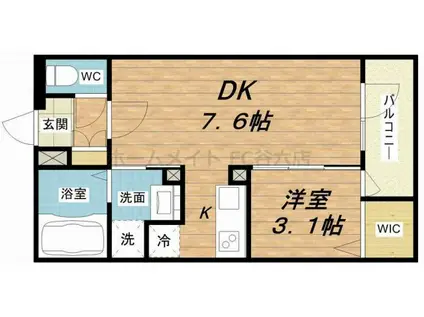 ファーストフィオーレ心斎橋イースト(1DK/11階)の間取り写真