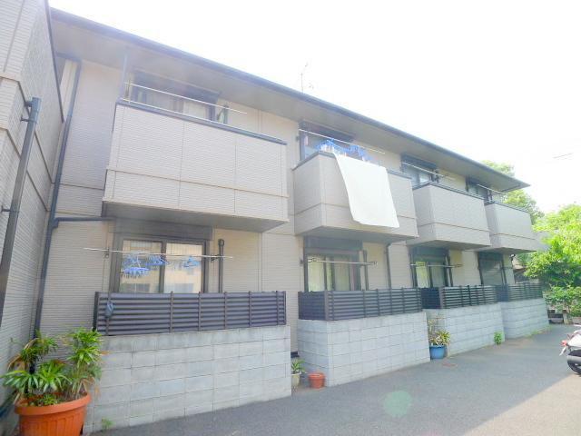 オリーブ