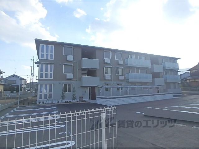 オリーブ嵯峨