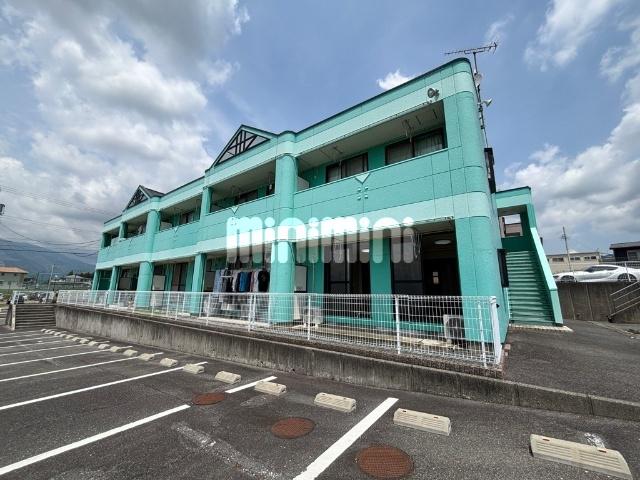 GREEN HILL SUGI