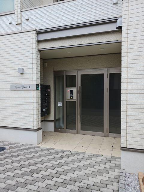 エヴァーグリーンIII