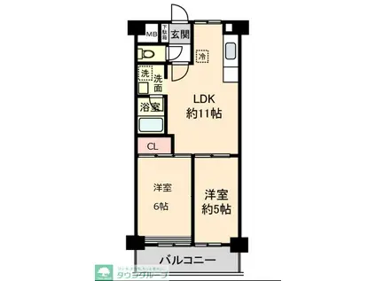 シャトー上清戸(2LDK/3階)の間取り写真