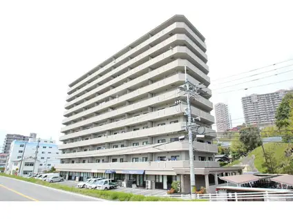 ロイヤル竜王(2LDK/10階)の外観写真