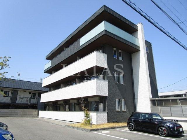 SKY・Eつげの木