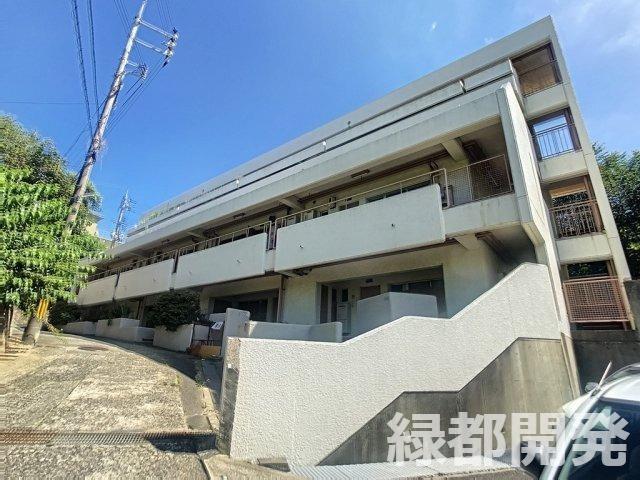 ロイヤルハイツ名池(3DK/1階)