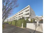 ハイツ東戸塚II