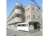 サングレース