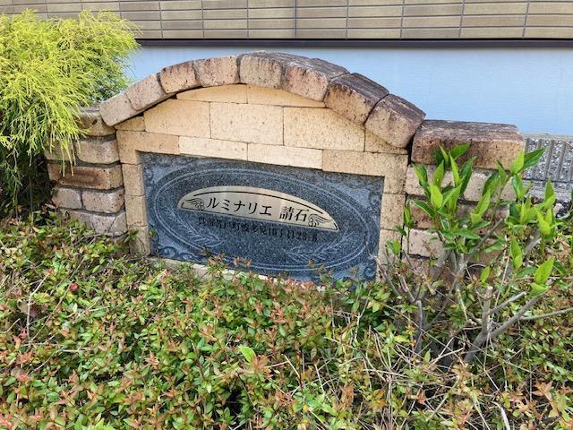 ルミナリエ請石