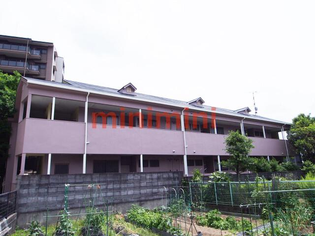 ラフレシア山崎