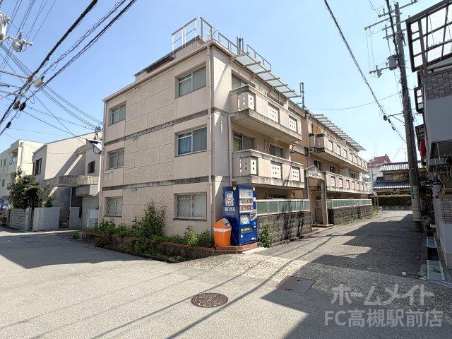 フルネスパート1