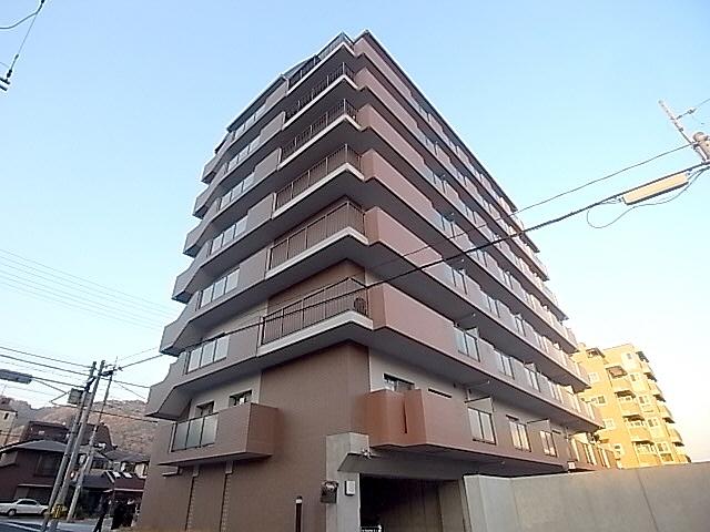 IVY HEIGHTS