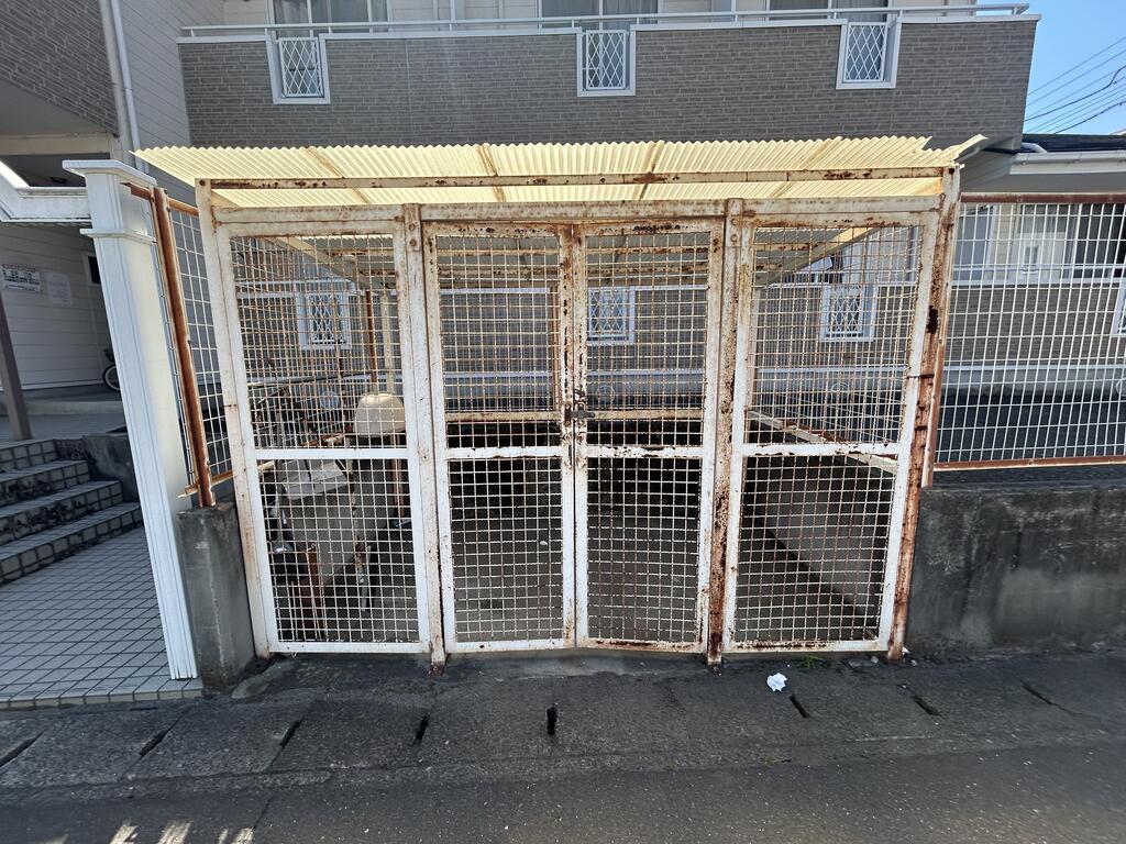 グレース鹿野