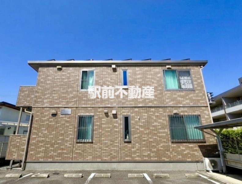 ブロード・ビーン
