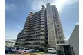 川口ティーブルー