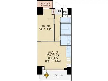 グラシーナ文京(1LDK/8階)の間取り写真