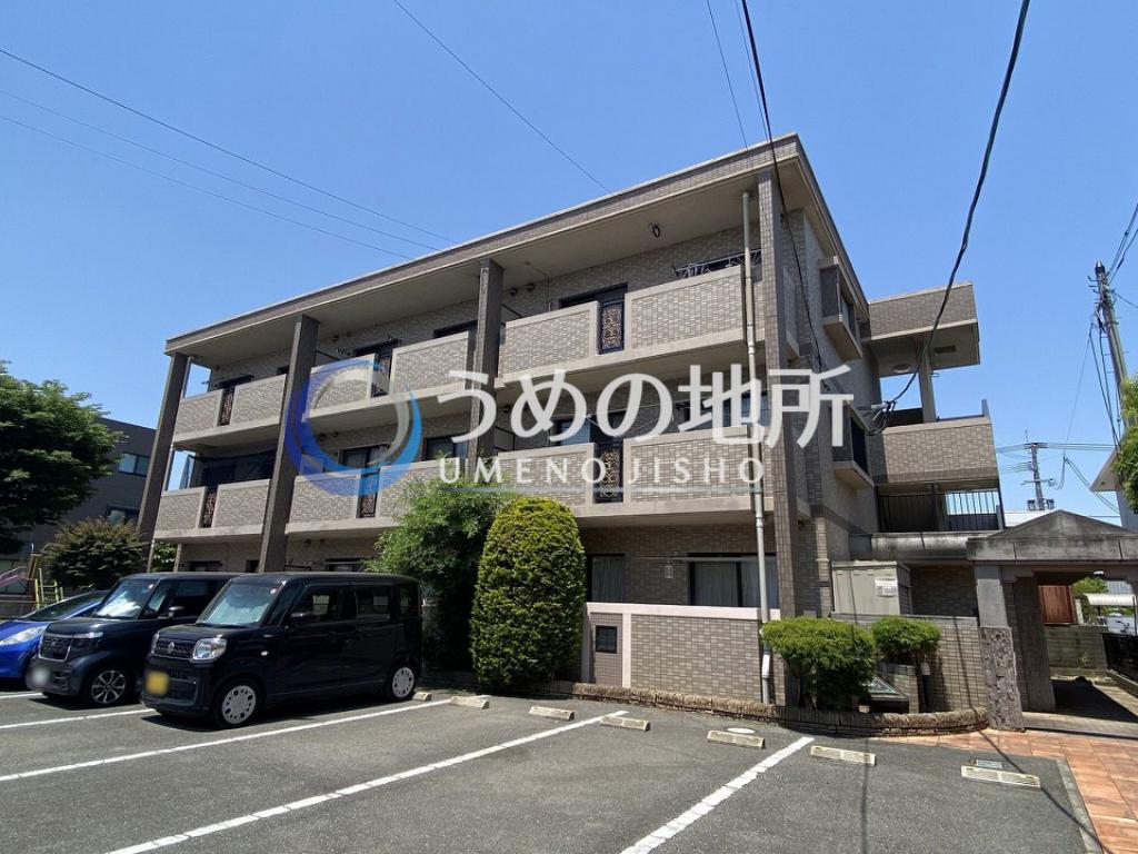DEARCORT KAWANAMI