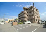 エスペランサ林