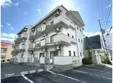 アミーゴ