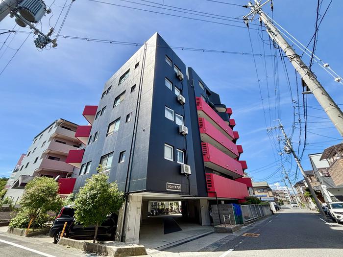 シロハイヌ門戸