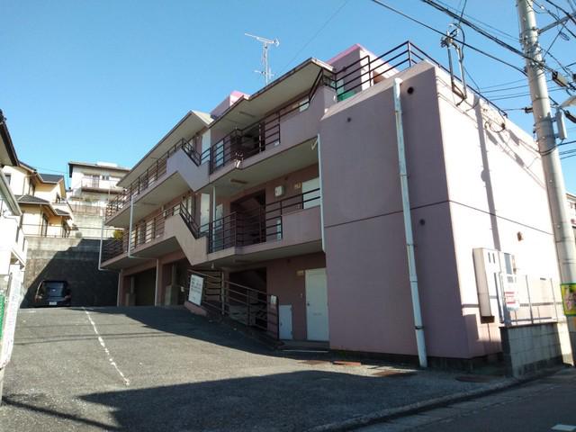 OASIS金山
