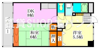 グラースマロニエ(2DK/4階)の間取り写真