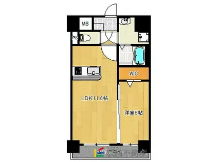 エル・グリシーヌ(1LDK/8階)の間取り写真