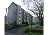 新狭山ハイツ6号棟