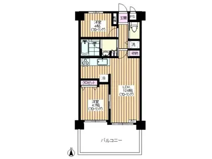 キャスティ上板橋(2LDK/1階)の間取り写真