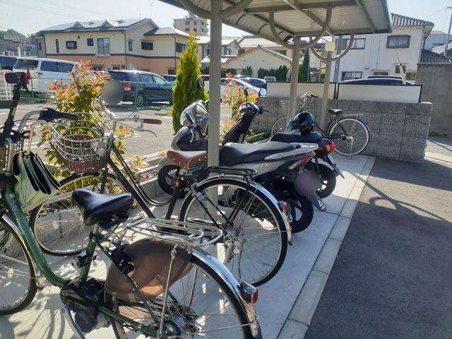 ヒノカ1
