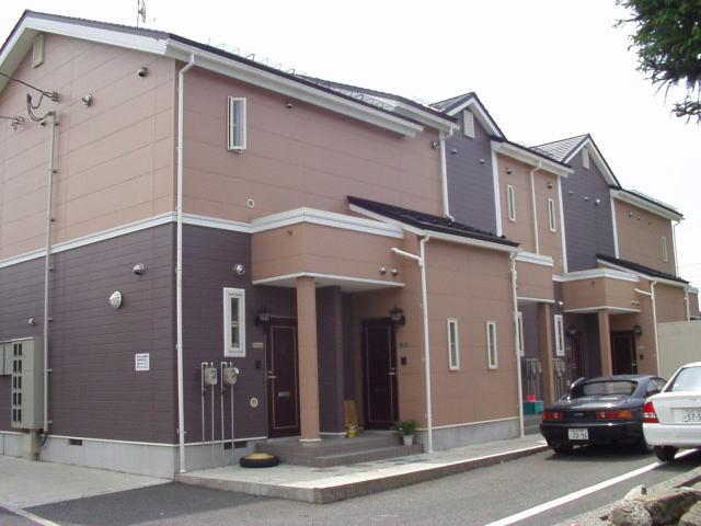 キャンディータフトS