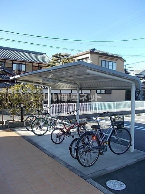 プラシード