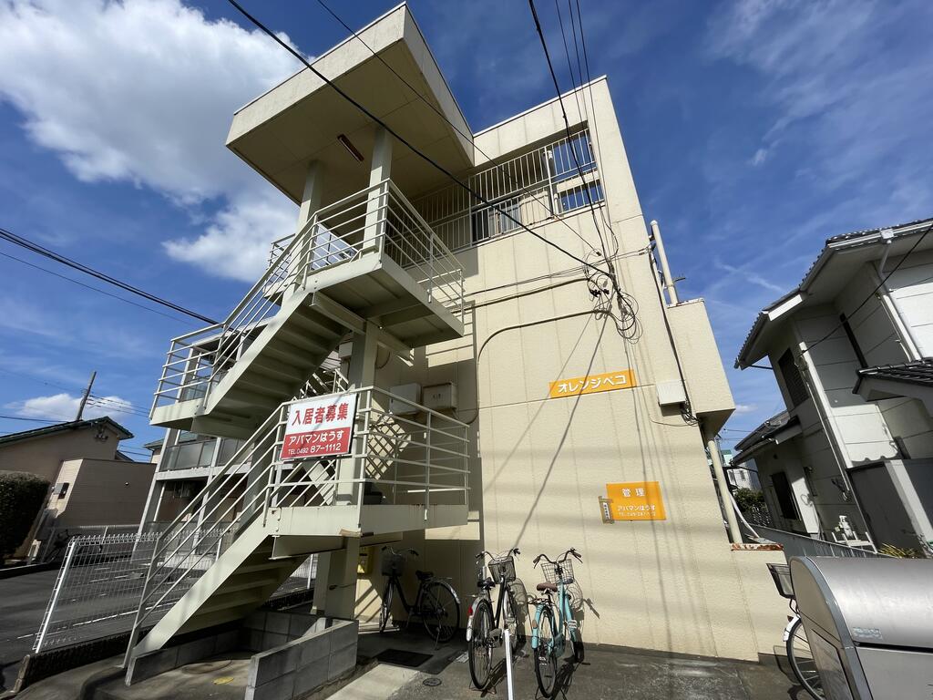 オレンジ ペコ