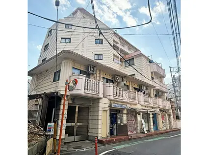 キャッスルマンション代官山(1K/3階)の外観写真