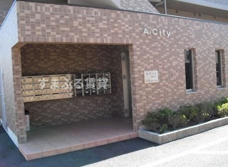 A・CITY熊味