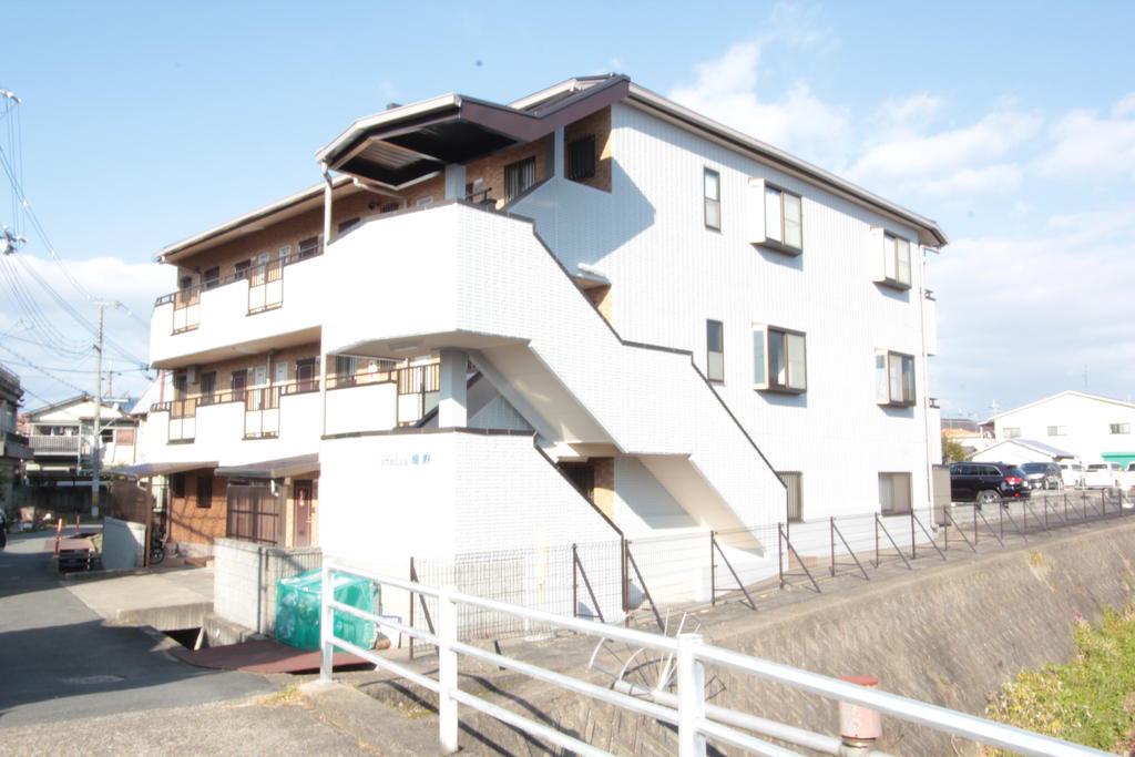 ステラ幾野