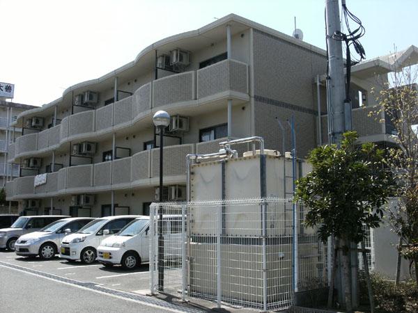 フィール白い雲