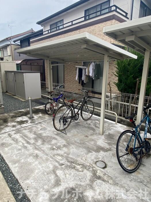ティー.アイビー B