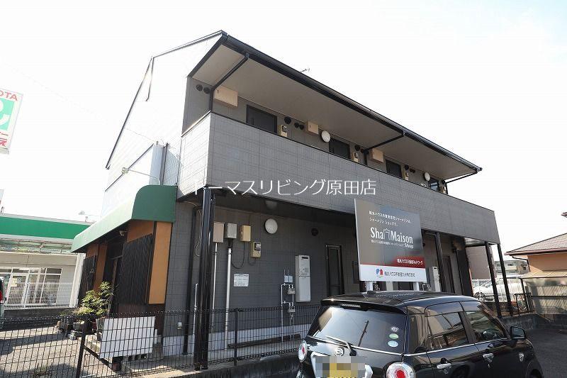 サンシャイン