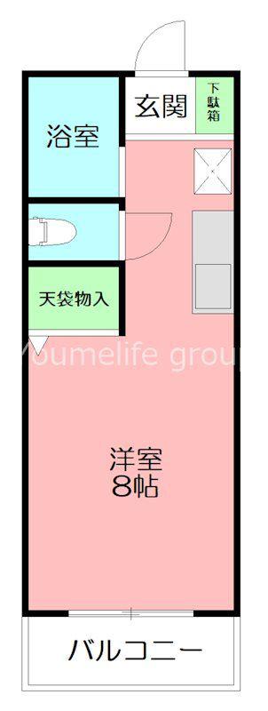 コーポセキ(1K/2階)の間取り写真