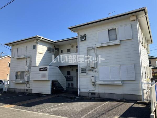 エクセルすみれ平