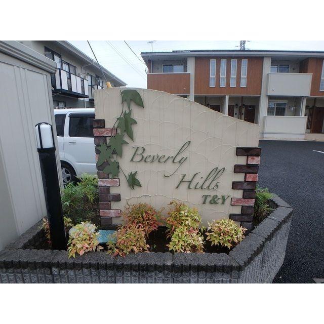 ビバリーヒルズT&Y