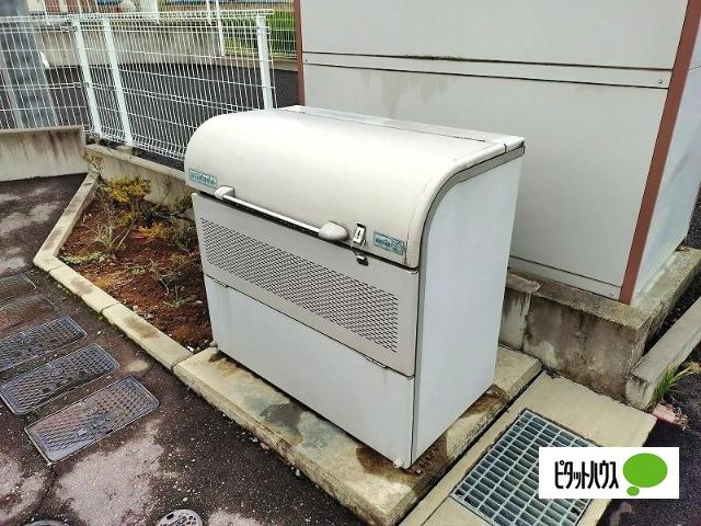 コンソラータ